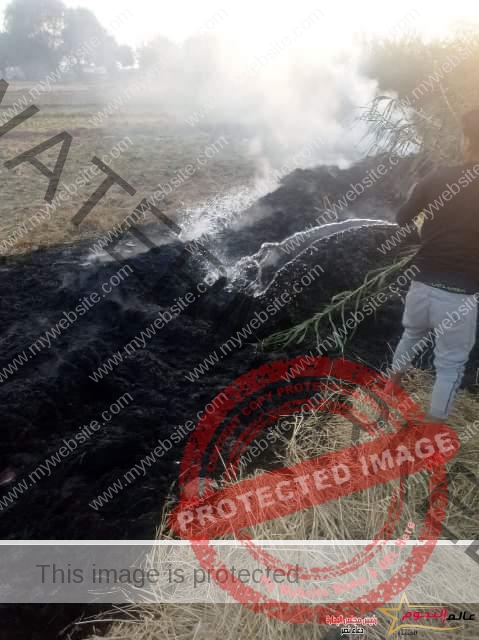 جهاز شؤون البيئة بمحافظة الشرقية يحرر (538) محضر حرق قش أرز