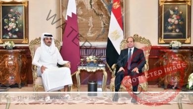 السيسي يستقبل اليوم الشيخ تميم بن حمد آل ثاني أمير دولة قطر