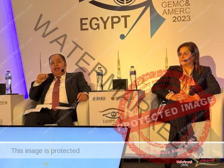 معيط: التجربة المصرية في التمويل الأخضر والمستدام تعزز المسار التنموي لتحسين معيشة المواطنين