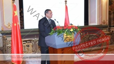 آمنة يشهد احتفال جمعية الصداقة المصرية الصينية بمناسبة مرور 65 عامًا على إنشائها