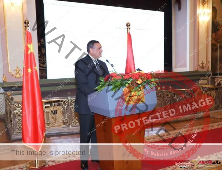 آمنة يشهد احتفال جمعية الصداقة المصرية الصينية بمناسبة مرور 65 عامًا على إنشائها