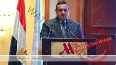 آمنة يشارك في ورشة العمل الثانية بين الحكومة المصرية والأمم المتحدة حول التكنولوجيا والابتكار
