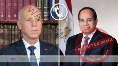 السيسي يتلقي اتصالاً هاتفياً من الرئيس التونسي قيس سعيد