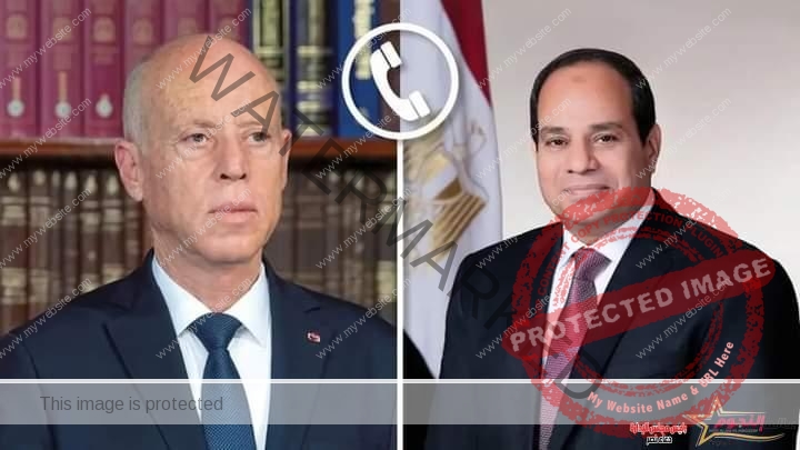 السيسي يتلقي اتصالاً هاتفياً من الرئيس التونسي قيس سعيد