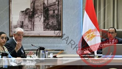 رئيس الوزراء يتابع الموقف التنفيذي لعدد من المشروعات في محافظة "جنوب سيناء"