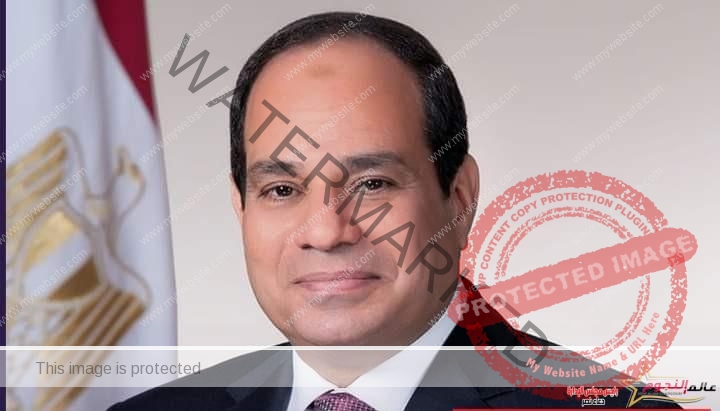 "الوطنية للانتخابات" تعلن عبدالفتاح السيسي رئيسا لمصر لفترة رئاسية جديدة