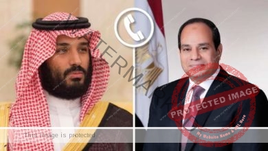 الرئيس السيسي يتلقي اتصالاً هاتفياً من ولي العهد رئيس مجلس الوزراء بالمملكة العربية السعودية