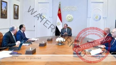 الرئيس السيسي يجتمع مع الدكتور مصطفى مدبولي رئيس مجلس الوزراء