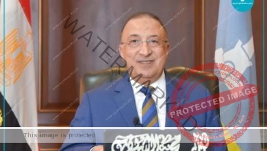 محافظ الإسكندرية يبعث برقية تهنئة لفخامة الرئيس بمناسبة حلول العام الميلادي الجديد