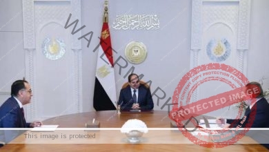الرئيس السيسي يجتمع مع رئيس مجلس الوزراء ومحافظ البنك المركزي