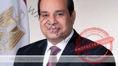 فوز الرئيس عبد الفتاح السيسي بولاية رئاسية جديدة من أجل حياة كريمة لكل المصريين