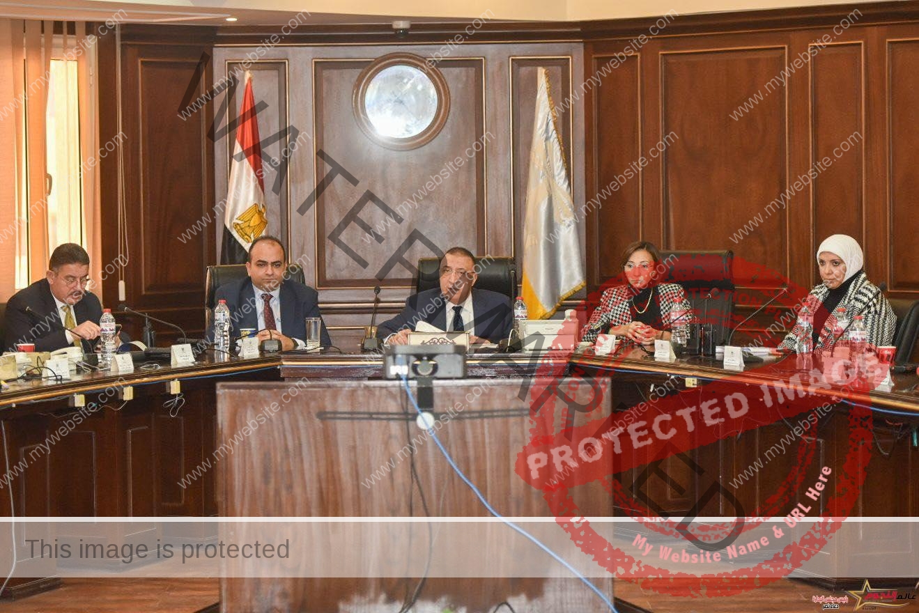 محافظ الإسكندرية يتابع سير عملية الانتخابات الرئاسية 2024 في يومها الأول