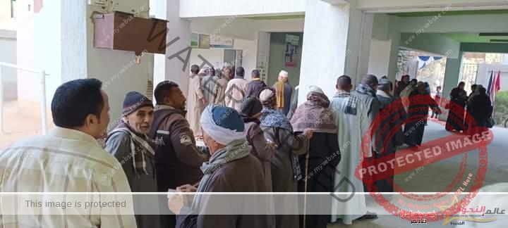محافظ أسيوط يتابع سير العملية الانتخابية وإقبال كثيف من الناخبين على لجان الاقتراع