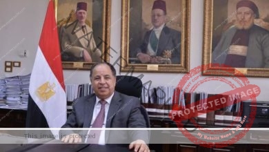 وزير المالية:المنظومة الضريبية المميكنة.. تُساعدنا فى تحصيل حق الدولة لصالح المواطنين