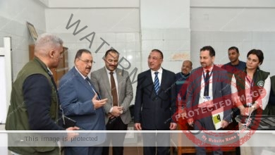 محافظ الإسكندرية وبعثة جامعة الدول العربية يتفقدون عددًا من لجان الانتخابات الرئاسية ٢٠٢٤