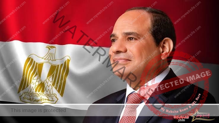 وزير التجارة والصناعة يتقدم بالتهنئة لفخامة الرئيس عبدالفتاح السيسي لفوزه في الانتخابات الرئاسية 2024 
