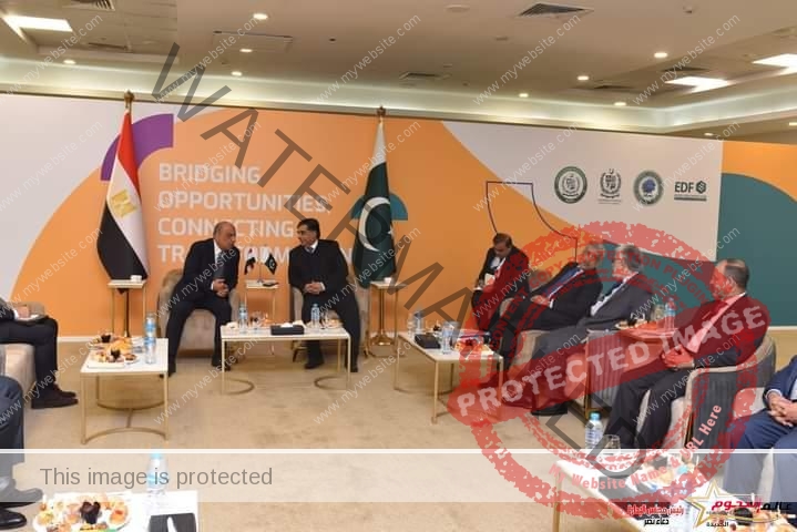 عصمت يبحث مع وزير التجارة الباكستاني سبل تعزيز التعاون وفتح فرص جديدة للاستثمار