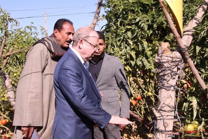 "الزراعة" تنظم يوم حقلي للاطلاع على نتائج اصناف الطماطم بالبرنامج الوطني لانتاج تقاوي الخضر بالفيوم