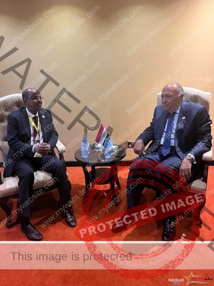 وزير الخارجية يلتقي وزير خارجية جيبوتي