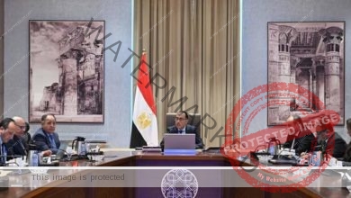رئيس الوزراء يتابع الموقف التنفيذي لمشروعات التنمية الصناعية بمحافظة بورسعيد