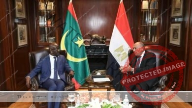 وزير الخارجية يستقبل نظيره الموريتاني ويعقدان جلسة مباحثات موسعة