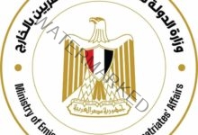 وزارة الهجرة تبحث سبل وضع آلية لسرعة نقل الأوراق الثبوتية للمصريين بالخارج