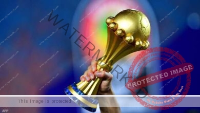 بشرى سارة لمتابعي بطولة كأس الأمم الإفريقية في مصر