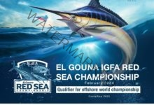7 دول تشارك في بطولة Red Sea IGFA بالجونة منها إسكتلندا والسعودية وجنوب أفريقيا