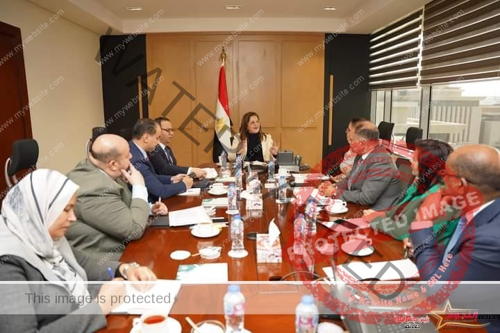 وزيرة التخطيط والتنمية الاقتصادية تتابع الموقف التنفيذي للمشروع القومي لتنمية الأسرة المصر