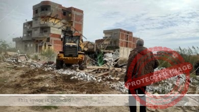 محافظ الإسكندرية يوجه بتنفيذ حملات مُكبرة لإزالة التعديات على الأراضي الزراعية وإيقاف أعمال البناء المخالف بأحياء الثغر
