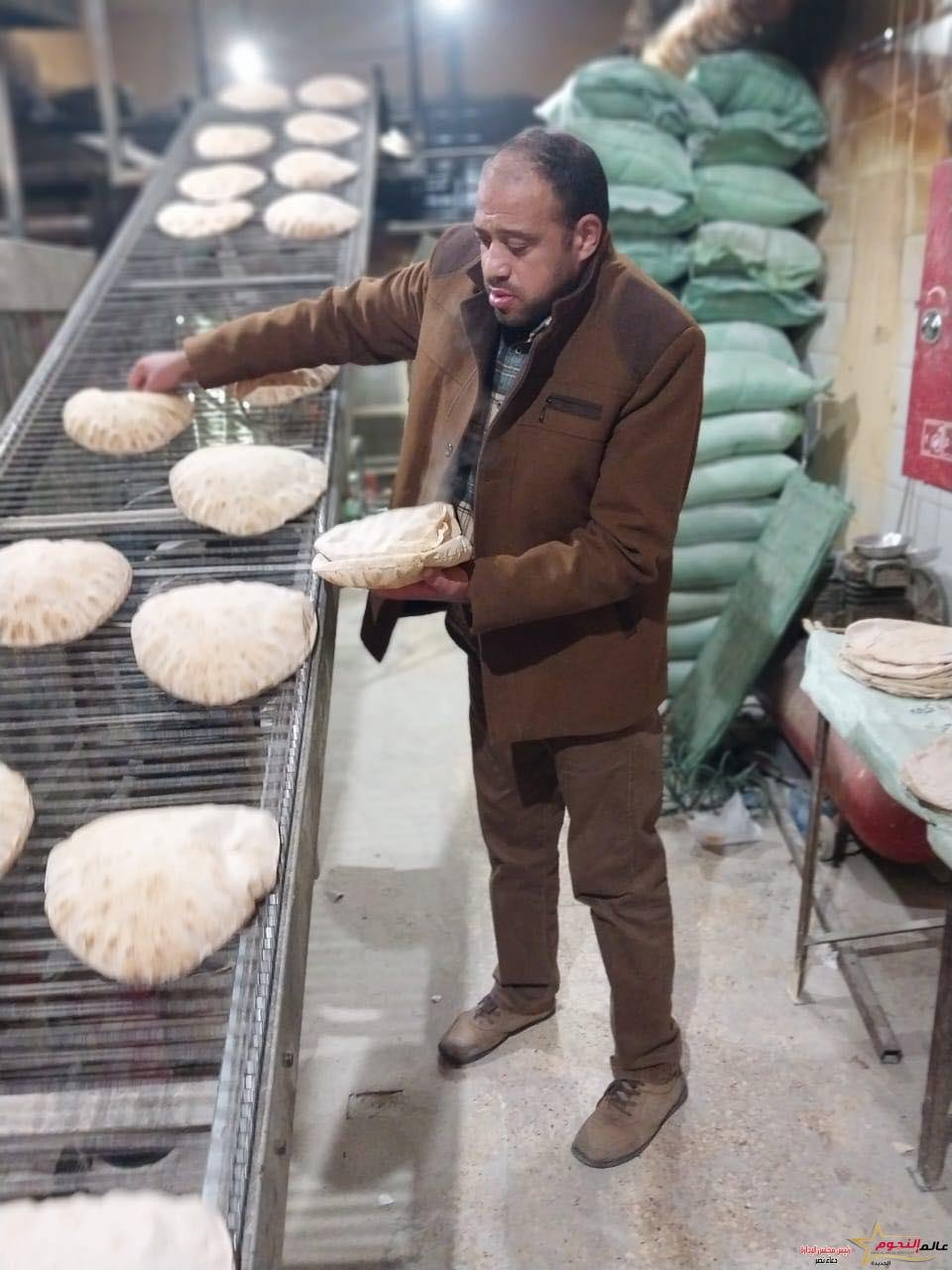 حملات تموينية مكثفة بالإسكندرية لضبط الأسعار بالأسواق والمحال وإجراءات رادعة للمخالفين