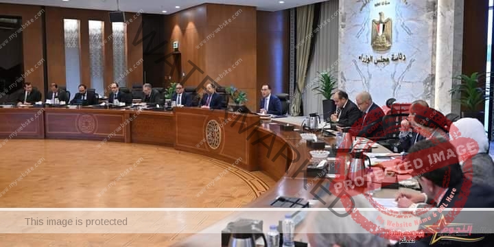 رئيس مجلس الوزراء يؤكد دعم الصناعة الوطنية وثقته الكاملة في قدرات الصناعة المصرية  