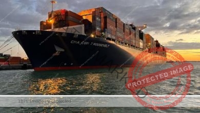 ميناء الأسكندرية يستقبل أكبر سفينة حاويات في تاريخه بحمولة كلية 142 ألف طن