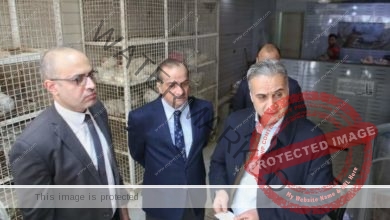 السجيني خلال ترأسه لحملة مُكبرة مع مأموري الضبط القضائي اليوم 
