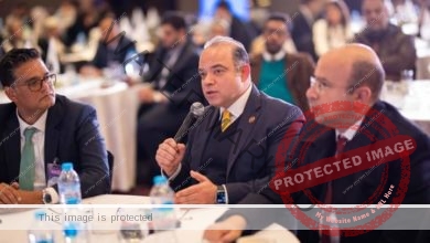 رئيس الرقابة المالية يلقى الكلمة الرئيسية خلال فعاليات المؤتمر السنوي للجمعية المصرية لخبراء الاستثمار " CFA Society Egypt "