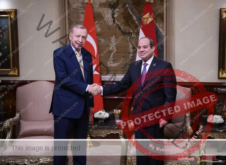 السيسي وأردوغان يعقدان جلسة مباحثات مغلقة وأخرى موسعة 
