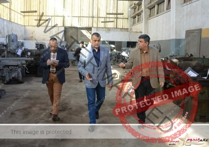 "وزير الدولة للإنتاج الحربي" يتابع انتظام سير العمل في "قها للصناعات الكيماوية" خلال زيارة مفاجئة للشركة