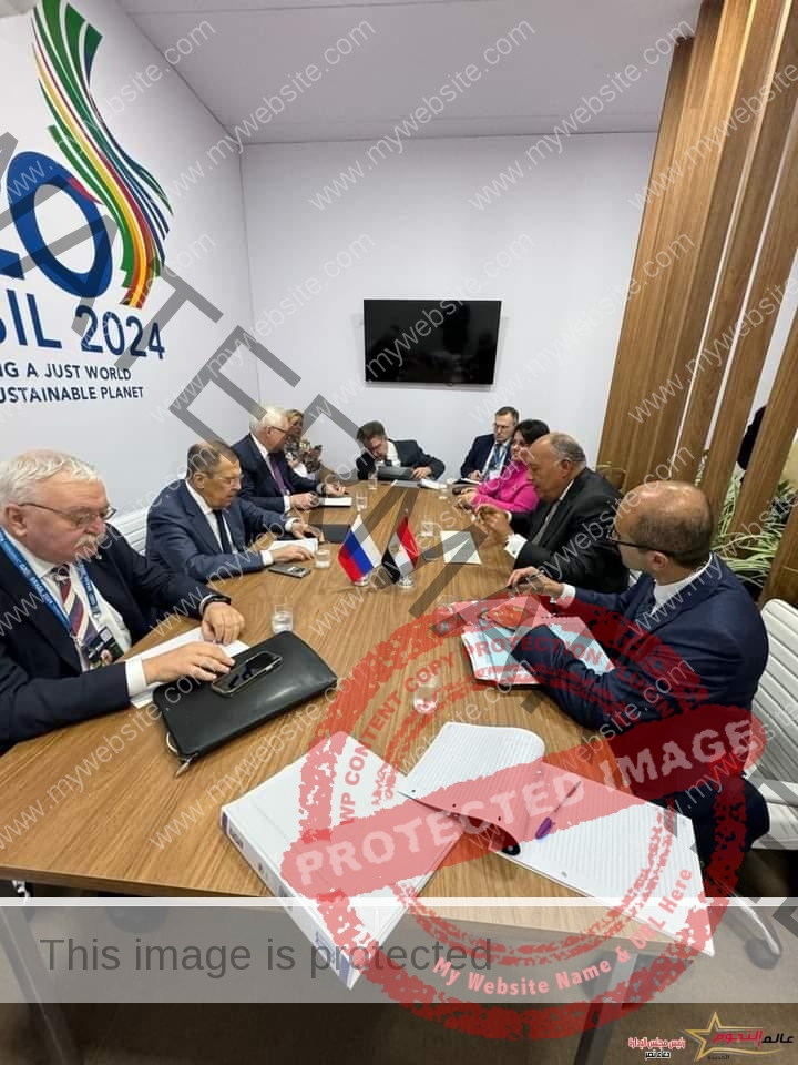 شكري يلتقي مع وزير الخارجية الروسي على هامش اجتماعات وزراء خارجية مجموعة العشرين في البرازيل