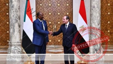 السيسي يستقبل رئيس مجلس السيادة الانتقالي السوداني بمطار القاهرة الدولي