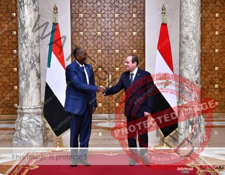 السيسي يستقبل رئيس مجلس السيادة الانتقالي السوداني بمطار القاهرة الدولي