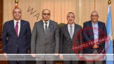 محافظ الإسكندرية يتابع مع رئيس شركة بتروجاس الإسكندرية مدى توافر أسطوانات البوتاجاز