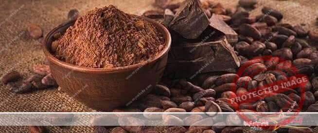 فوائد وأضرار الكاكاو الخام للصحة