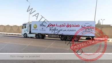 صندوق تحيا مصر يطلق 101 شاحنة تزن 1616طن لإغاثة أهل غزة