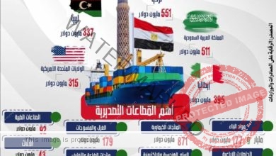تقرير وزارة التجارة حول صادرات مصر السلعية خلال شهري يناير وفبراير 2024