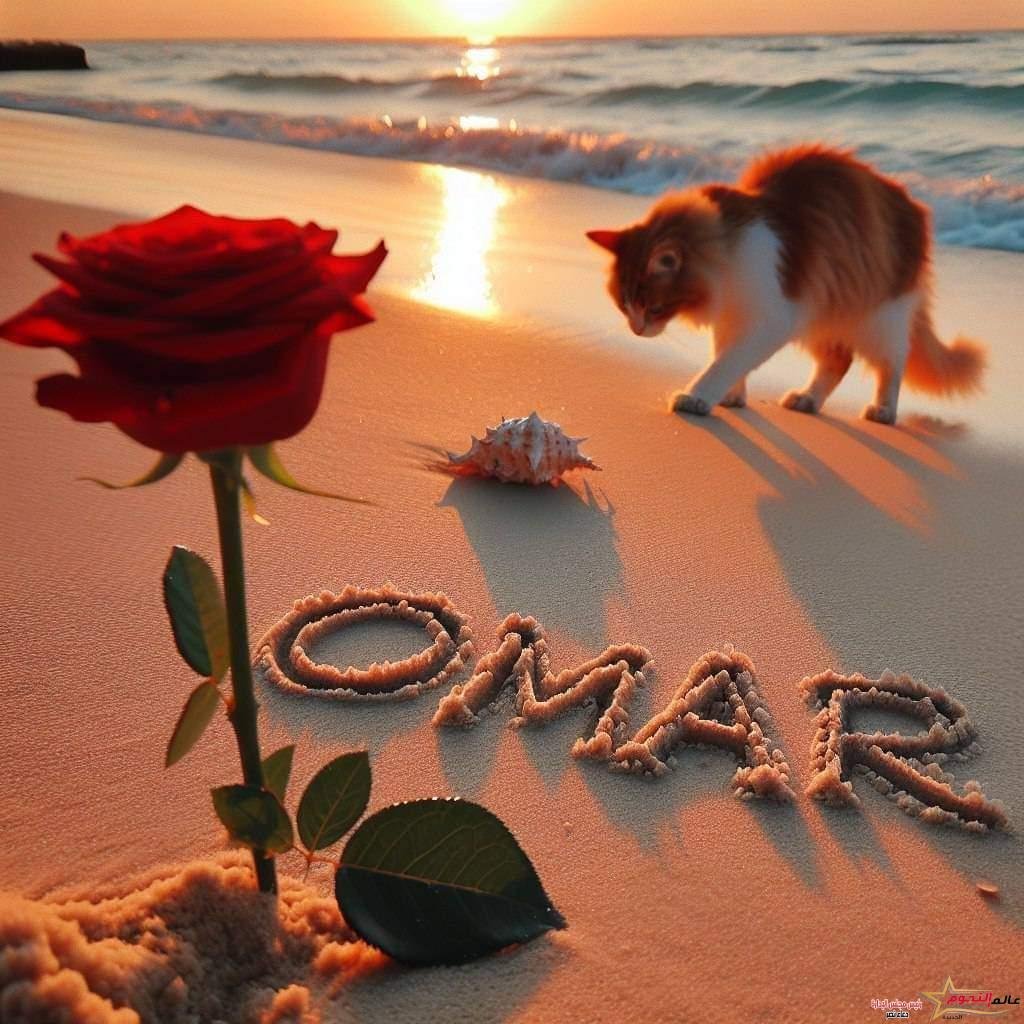 عمر ماهر يكتب: "ميستهلوش" (رواية القناع )