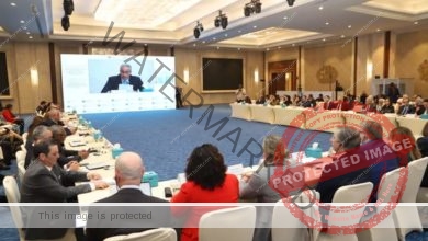 وزير العمل يُلقي كلمة في إجتماع لجنة التسيير المُشتركة للإطار الاستراتيجي للشراكة بين مصر والأمم المتحدة