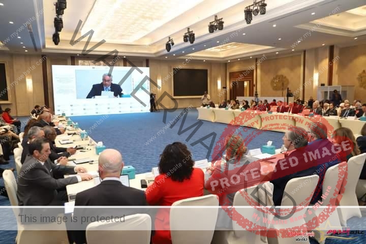 وزير العمل يُلقي كلمة في إجتماع لجنة التسيير المُشتركة للإطار الاستراتيجي للشراكة بين مصر والأمم المتحدة