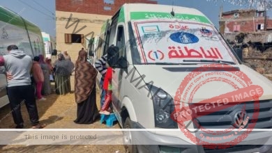 محافظة دمياط توقيع الكشف الطبى بالمجان على 1300 مواطن خلال قافلة طبية أطلقتها الصحة