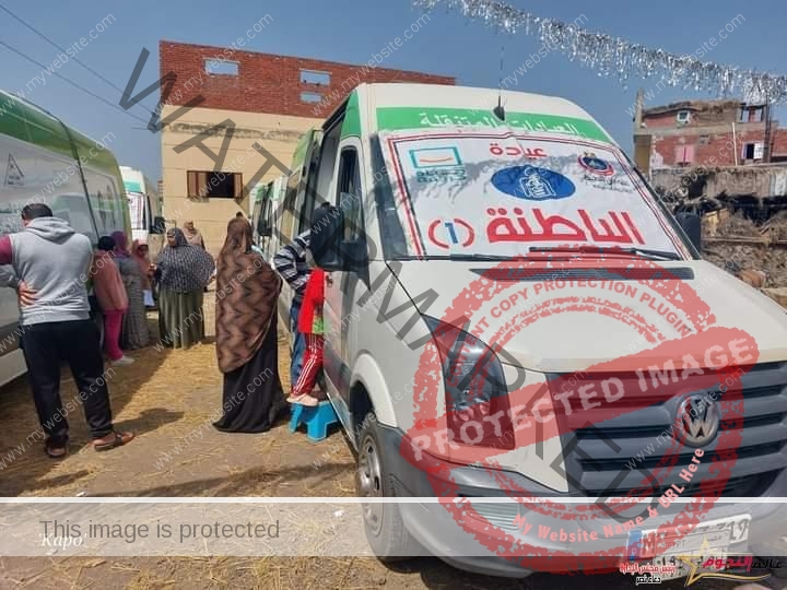 محافظة دمياط توقيع الكشف الطبى بالمجان على 1300 مواطن خلال قافلة طبية أطلقتها الصحة