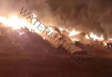 حريق كبير يلتهم مزارع بالقصاصين في الإسماعيلية
